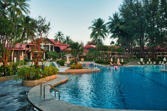 swimming pool near green trees during daytime